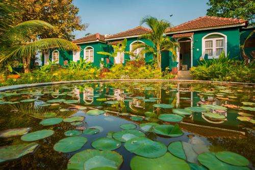 www.aquaticagoa.in