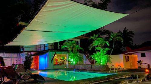 www.parrot-resort.com