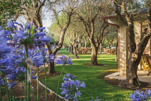 www.agriturismosalos.it