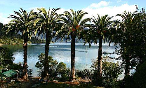 www.temahia.co.nz