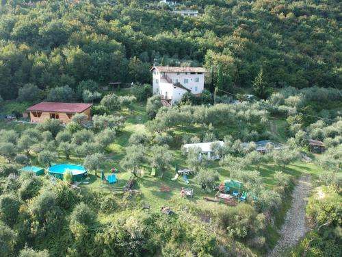 www.contebrunello.org