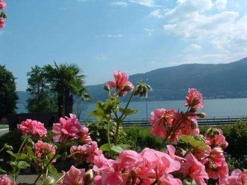 www.residencelagomaggiore.com