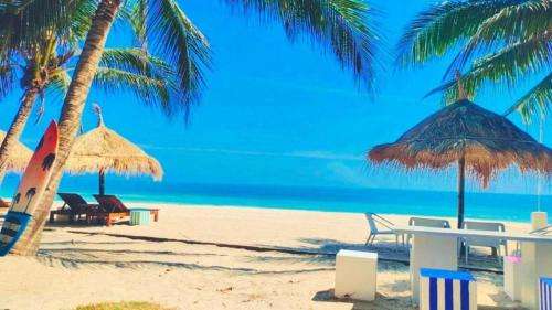 www.margaritabeach.com