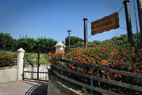 www.santacinnara.com