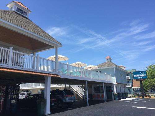 www.whitemarlininn.com