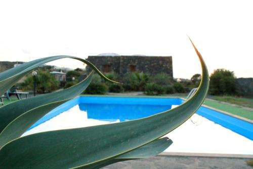 www.residencepantelleria.it