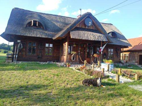 www.agropodstrzecha.pl