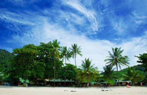 www.dreamlandresortkohphangan.com