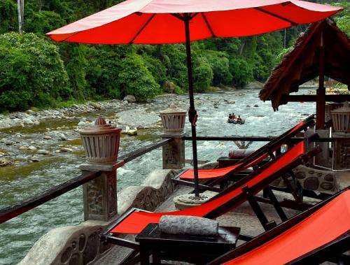 www.sumatra-ecotravel.com