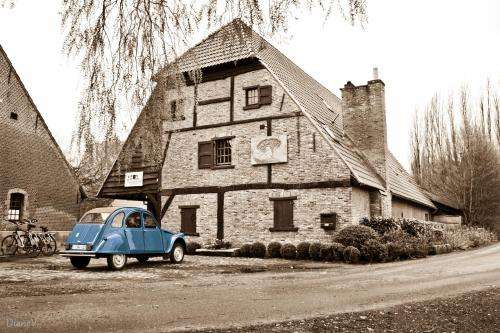 www.blauweschaap.be