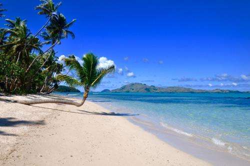 www.coconutbeachfiji.com