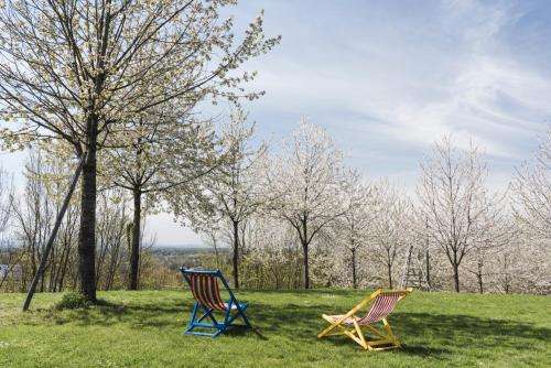 www.cascinacerola.com