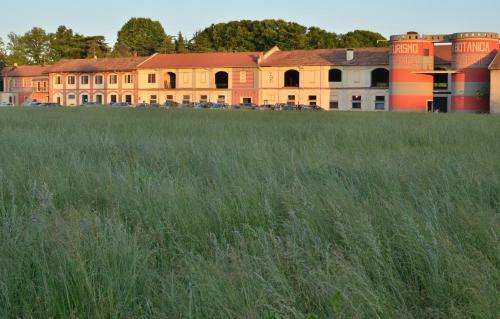 www.aziendaagricolabotanica.it