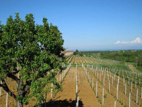 www.ilgirasole-agriturismo.com