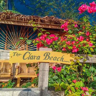 www.theclarabeach.com