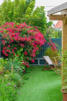 www.hortensiascharminghouse.pt