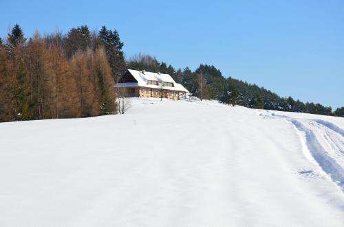 www.smolnik.info.pl