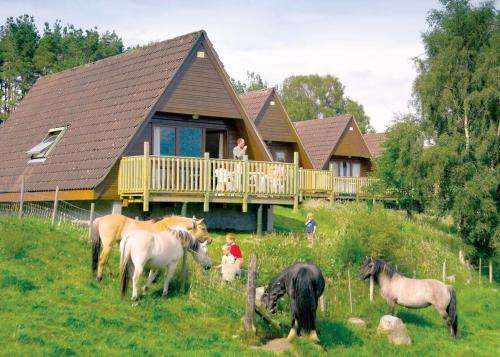www.ranchchalet.com