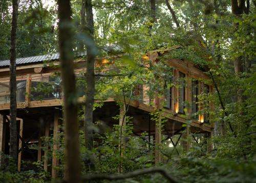 www.woodlandparklodges.co.uk