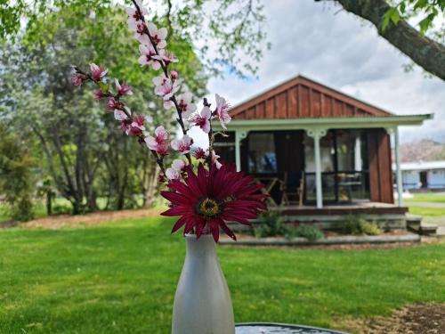 www.seabreezeholidaypark.co.nz