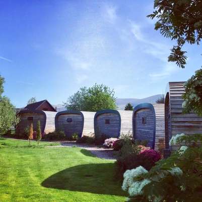 www.whitemoss-lodge.com