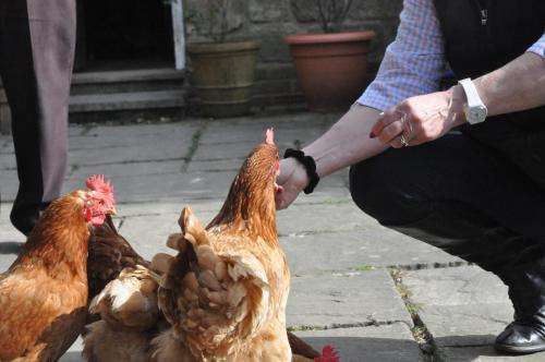 www.littletidebrookfarm.co.uk
