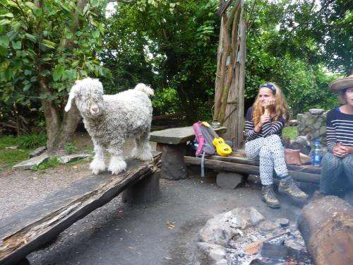 www.dijembebackpackers.com