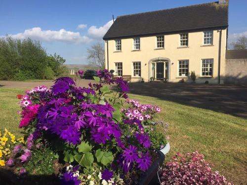 www.therocksbedandbreakfast.co.uk
