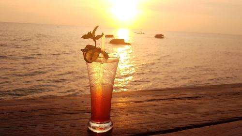 www.freebeachbungalows.com