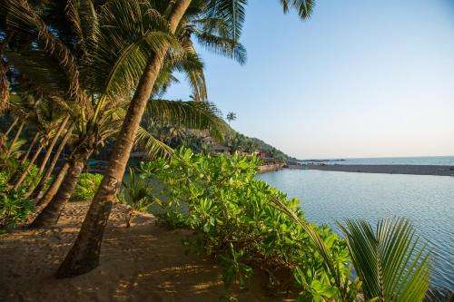 www.bluelagoonresortgoa.com