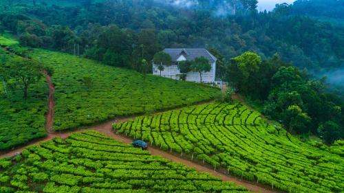 www.teaharvestermunnar.com