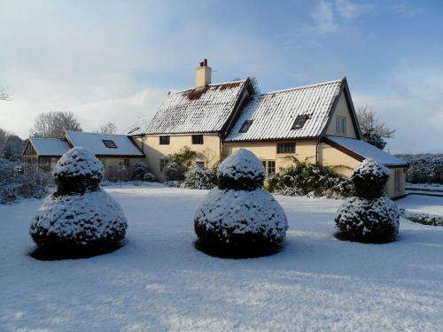 www.hollytreehousebandb.co.uk