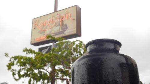 www.randolphmotel.co.nz