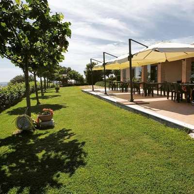 www.colletripio.it