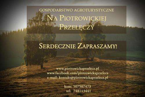 www.piotrowickaprzelecz.pl