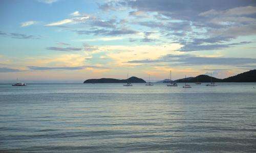 www.thecovephuket.com