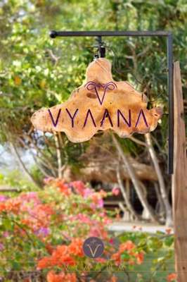 www.vyaanagiliair.com