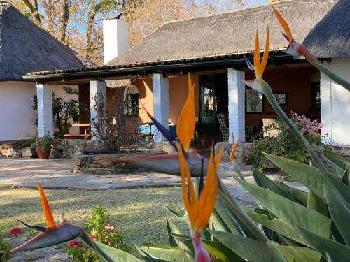 www.waterbergcottages.co.za