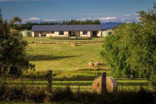 www.aislingquoy.co.nz