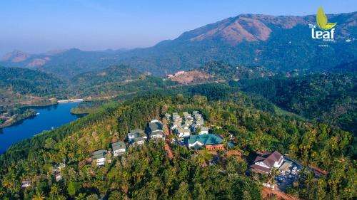www.theleafmunnar.com
