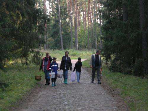 www.gosciniecmazury.pl