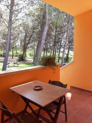 www.soledelmediterraneo.com