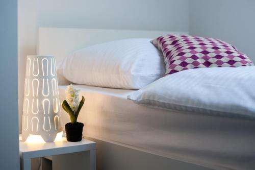 www.hostel-street-osijek.com