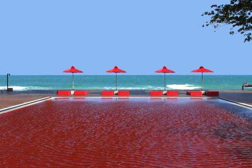 www.thelibrarysamui.com