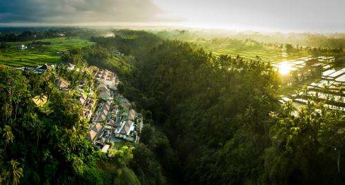 www.viceroybali.com