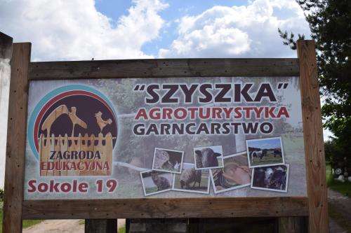 www.zagrodaszyszka.pl