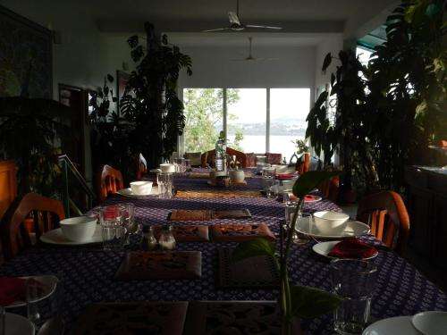 www.ivysuites.in
