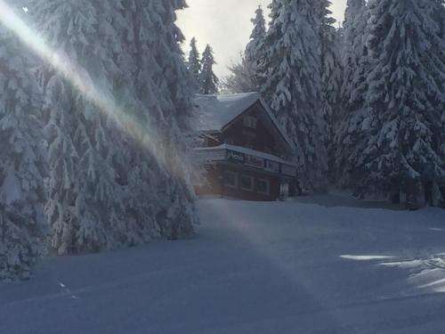www.auerhahn-feldberg.com