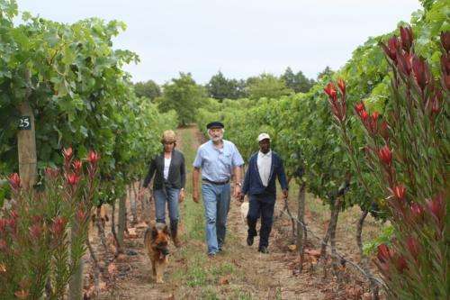 www.belfield.co.za