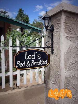 www.tedsbedandbreakfast.com